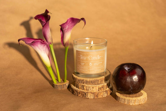 Cashmere Plum Coconut Wax Candle
