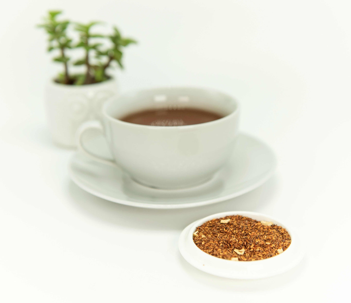Blood Orange Rooibos Tea - The Tea & Candle Company